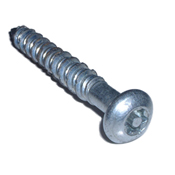 Mirror Torx Screw